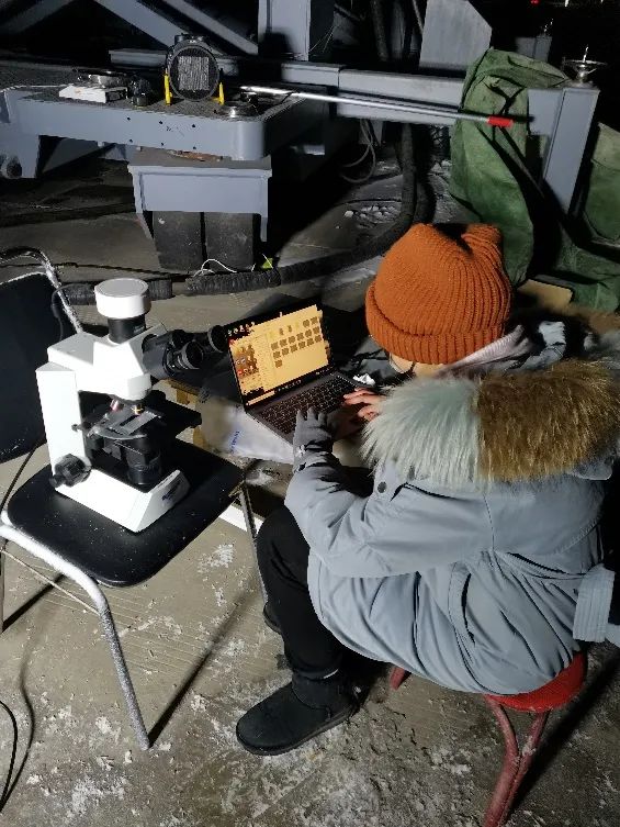 英超直播最新版下载